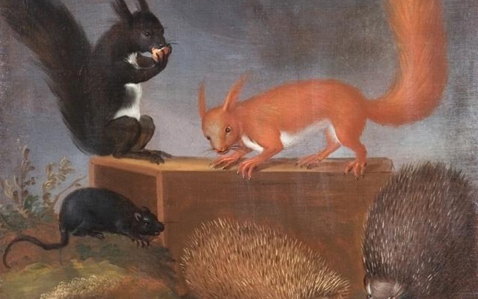 Ernst Wilhelm Bernhardi, Zwierzęta w pejzażu, 1708. Technika olejna, płótno, 71x59