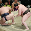 Hakuho (po prawej) i Kisenato podczas starcia