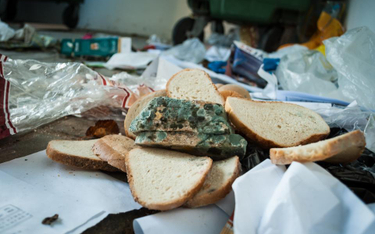 Jak uchronić jedzenie przed wyrzuceniem do śmieci