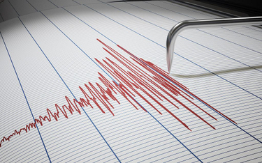 Silne trzęsienie ziemi w rejonie Nowej Zelandii