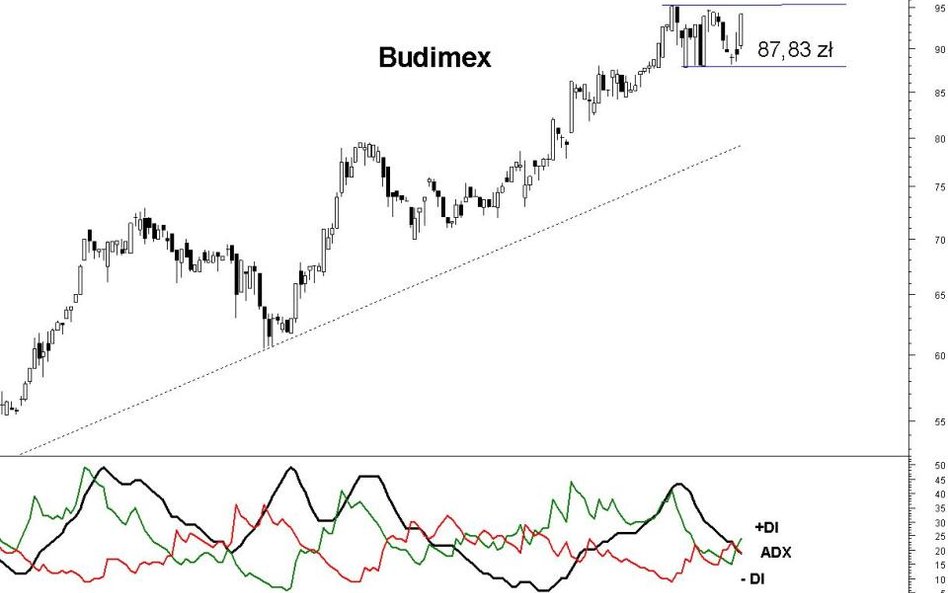 Budimex wraca do trendu wzrostowego