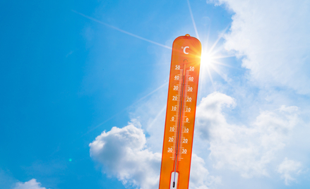 W miarę ocieplania się klimatu ludzie będą narażeni na coraz więcej ciepła. Ekstremalne temperatury 