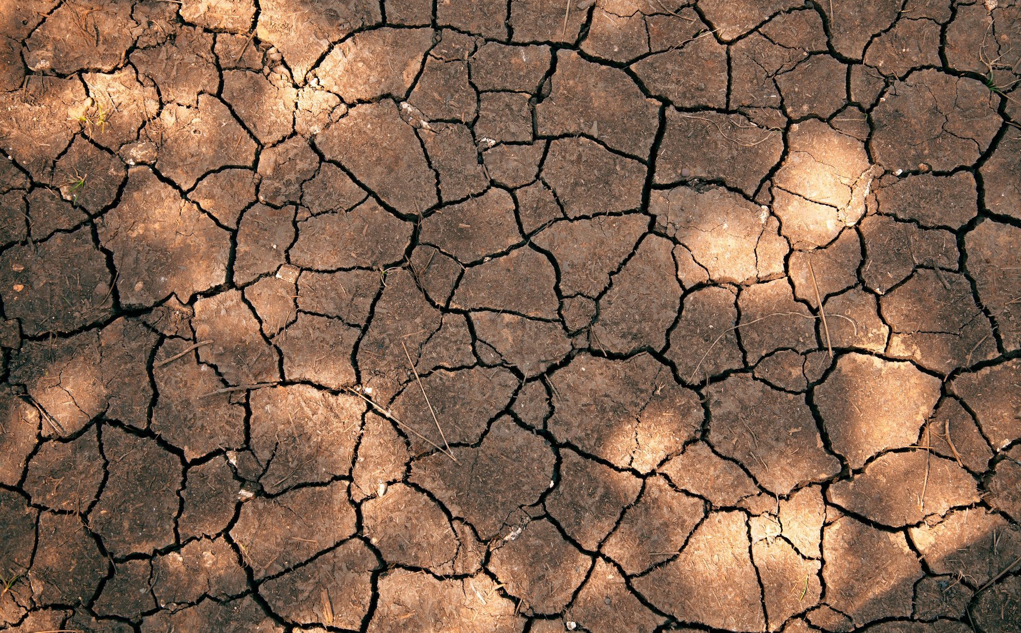 Cypr dotknięty przez rekordową suszę. „Najgorsza od ponad stu lat”