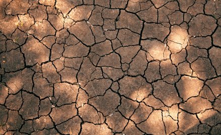 Dane wskazują, że w lutym poziom napełnienia zbiorników retencyjnych spadł do 13,7 proc. całkowitej 