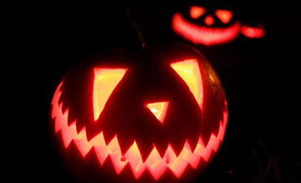 Czarzasty: Z petycją o Halloween nie było pola manewru