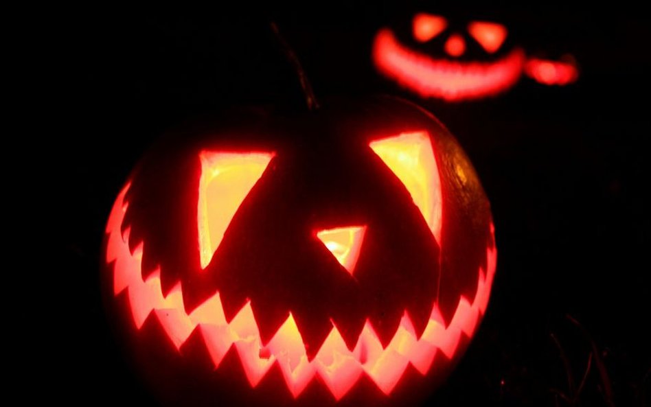 Czarzasty: Z petycją o Halloween nie było pola manewru