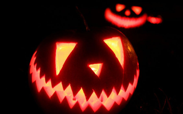 Czarzasty: Z petycją o Halloween nie było pola manewru