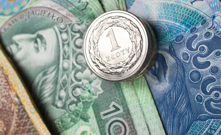 Tygodniowy komentarz do rynku złotego – tydzień stabilnego złotego