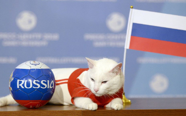 Rosja: Tym razem nie ośmiornica. Wyniki typuje głuchy kot