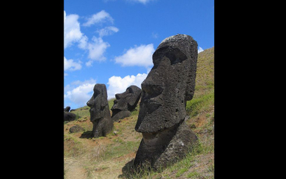 Posągom na Wyspie Wielkanocnej zagraża "trąd"
