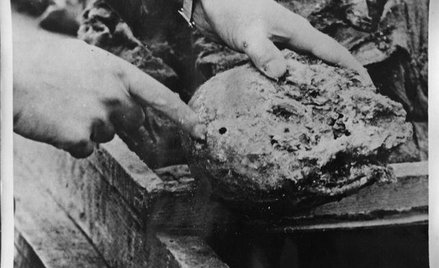 Muzeum Katyńskie. Reprodukcje fotografii dokumentujących przeprowadzoną wiosną 1943 roku ekshumację 