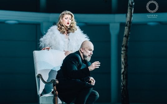 Rafał Siwek jako Don Kichot w spektakluy Marka Weissa