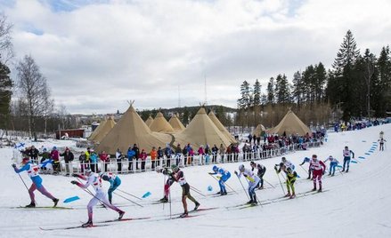 Kombinacja wyłącznie niemiecka