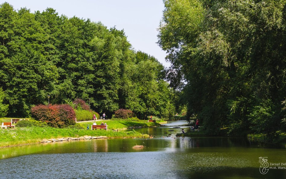 Park Arkadia to teren skarpy wiślanej pełny zbiorników wodnych i naturalnych mokradeł