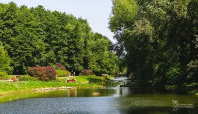 Park Arkadia to teren skarpy wiślanej pełny zbiorników wodnych i naturalnych mokradeł