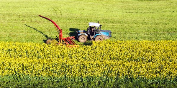 Government will not yield on Ukrainian rapeseed. Embargo remains