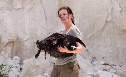 Barbara Hollender poleca nowości na DVD