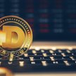 Dogecoin urwał się z łańcucha. 17 proc. w górę