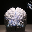 Przed upływem dekady ludzkość sięgnie po zaawansowane rozwiązania z zakresu BCI (Brain Computer Inte