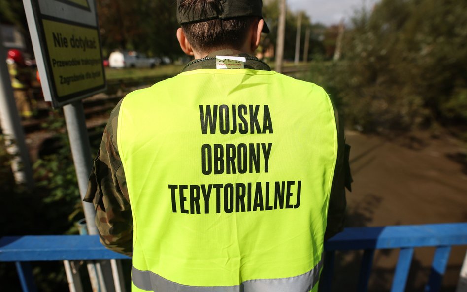 Zarobki w WOT w 2025 roku. Ile będą mogli zarobić terytorialsi?