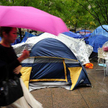 Trwające od połowy września demonstracje ruchu Occupy Wall Street rozlały się z Nowego Jorku na całą