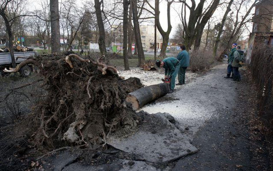 Pierwsza ofiara wichury w Polsce. Wiatr się uspokaja