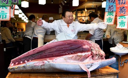 W Japonii sprzedano tuńczyka za 1,8 mln dolarów
