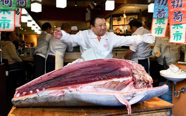 W Japonii sprzedano tuńczyka za 1,8 mln dolarów