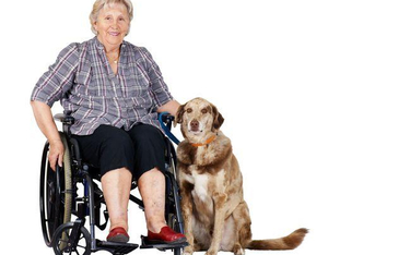 Niepełnosprawni: psy przewodnicy w placówkach medycznych