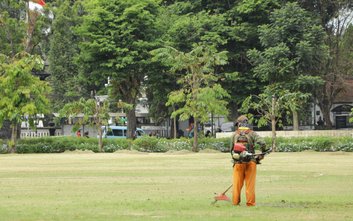 Czy Warszawa powinna zrezygnować z częstego koszenia miejskich trawników na rzecz bioróżnorodności?