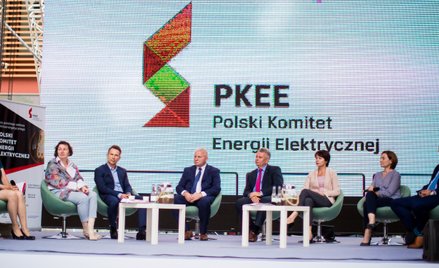 W tym roku problem smogu może być mniejszy