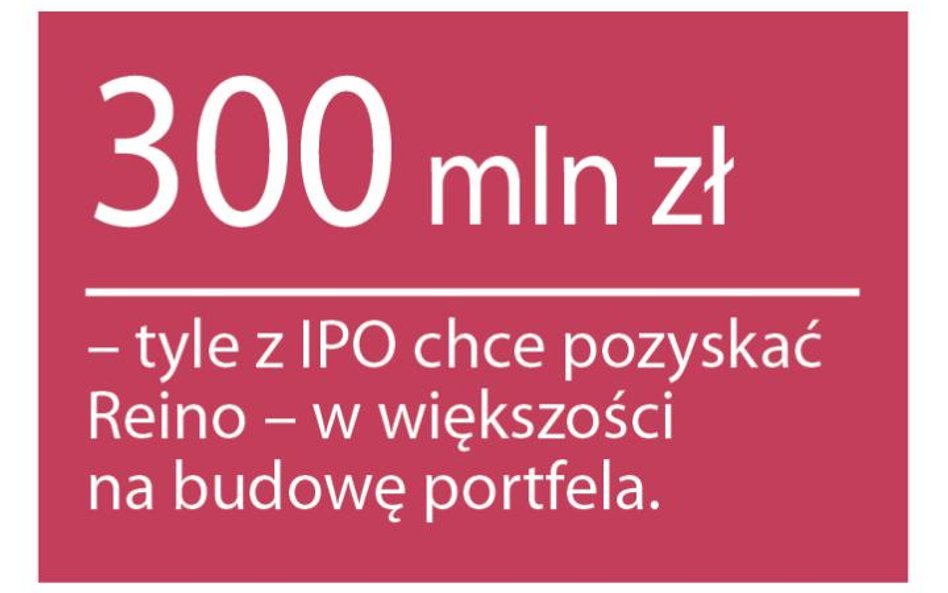 Reino nie sprzyja sytuacja na GPW, ale resort finansów tak