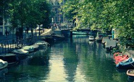 Gdzie opodatkować usługi pośrednictwa w dostawie towarów