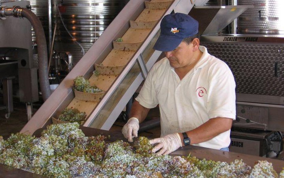 Korki strzelają najgłośniej w Penedes