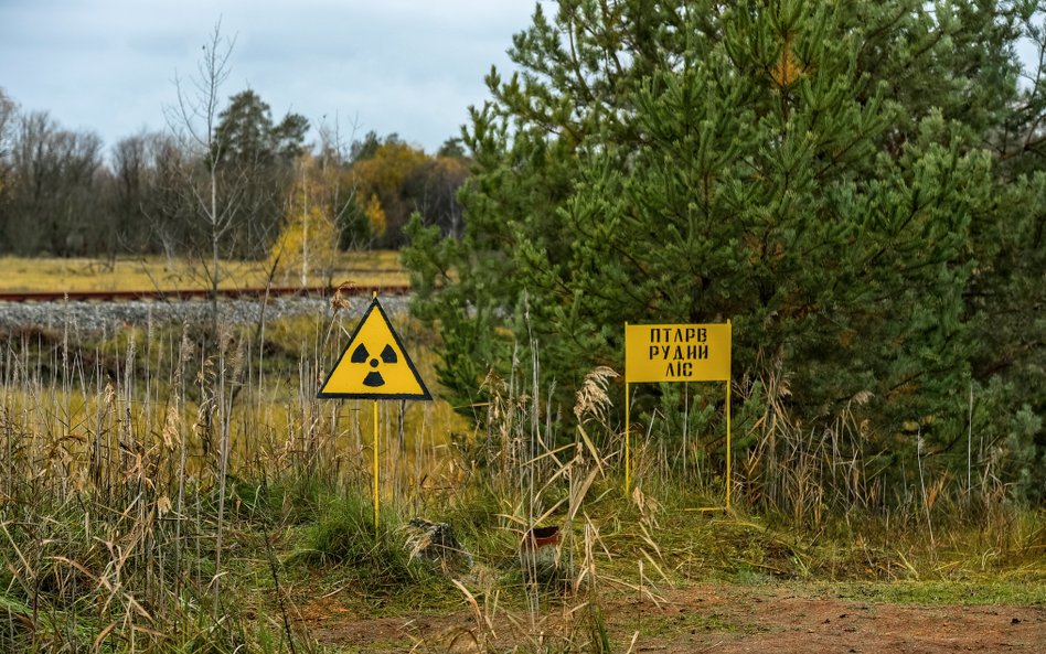 Czarnobyl