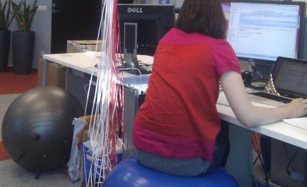 Piłki przy pracy na komputerze