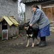 Na wsiach pies na łańcuchu to wciąż powszechny widok