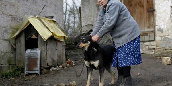 Zakaz trzymania psów i kotów na uwięzi ogłoszony w Dzienniku Ustaw. Wejdzie w życie za rok