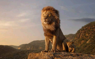 Film „Król lew II: Czas Simby” to  najpopularniejszy kinowy film w Polsce w 2019 roku