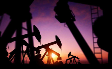 Kraje OPEC dogadały się w sprawie cięć produkcji ropy
