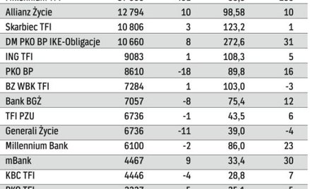 Firmy finansowe prowadzące najwięcej IKE