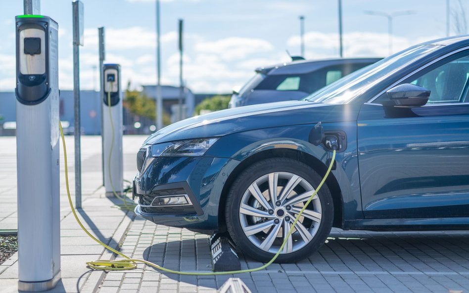 Na koniec ubiegłego roku jeździło po polskich drogach prawie 61,6 tys. elektrycznych aut osobowych. 