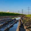 Rozbudowa sieci nie nadąża za elektryfikacją w Holandii. To dotyczy też Polski