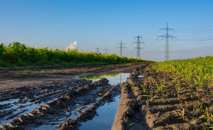 Rozbudowa sieci nie nadąża za elektryfikacją w Holandii. To dotyczy też Polski