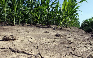 Włochy: 10 regionów chce ogłoszenia klęski żywiołowej z powodu suszy