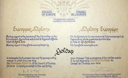 Dyplomy Europejskie dla polskich miast