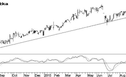 Byki tygodnia, czyli trzy spółki z szansami na zwyżki...