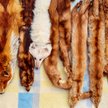 Gucci rezygnuje z naturalnych futer
