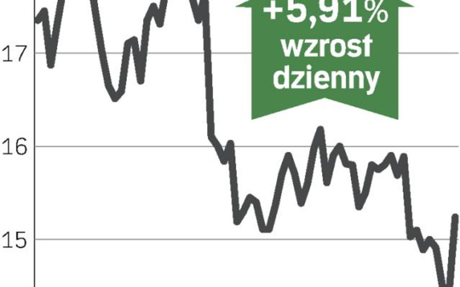 Ryzyko znika, przychodzą inwestorzy