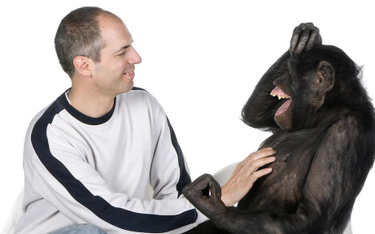 Naukowcy udowodnili: szympansy naśladują ludzi tak samo często jak ludzie naśladują szympansy
